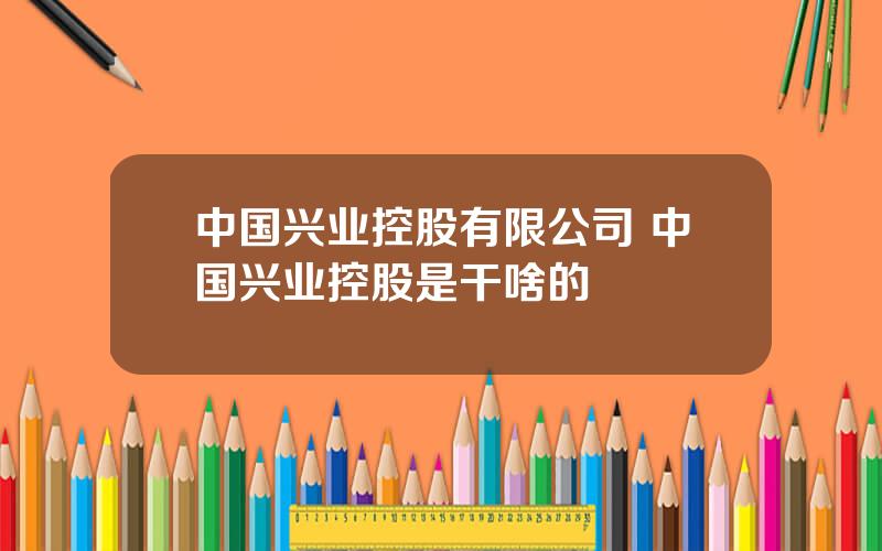 中国兴业控股有限公司 中国兴业控股是干啥的